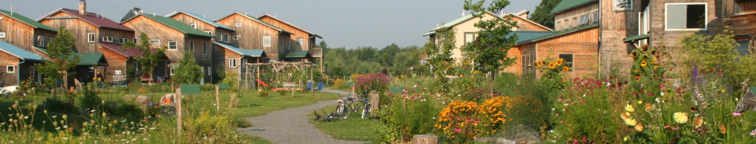 Designing the Ecovillage